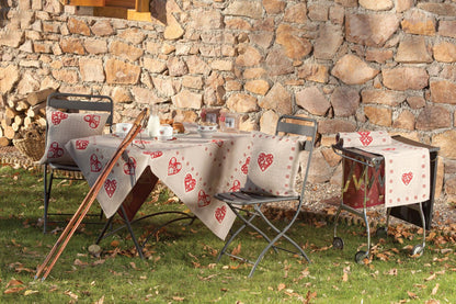 Fodera cuscino aosta Daunex misura 45 x 45 cm - My Store